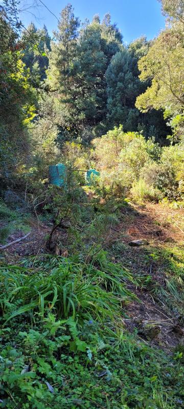 3 Bedroom Property for Sale in Hogsback Eastern Cape
